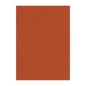 (まとめ) 文運堂 ニューカラーR 四ツ切 横392×縦542mm 4NCR-236 ちゃいろ 10...