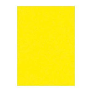 (まとめ) 文運堂 ニューカラーR 四ツ切 横392×縦542mm 4NCR-319 レモン 100...