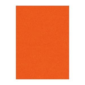 (まとめ) 文運堂 ニューカラーR 四ツ切 横392×縦542mm 4NCR-235 しゅいろ 10...