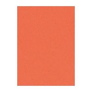 (まとめ) 文運堂 ニューカラーR 四ツ切 横392×縦542mm 4NCR-213 だいだい 10...