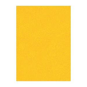 (まとめ) 文運堂 ニューカラーR 四ツ切 横392×縦542mm 4NCR-237 みかん 100...