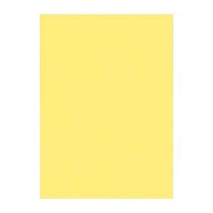 (まとめ) 文運堂 ニューカラーR 四ツ切 横392×縦542mm 4NCR-108 きいろ 100...