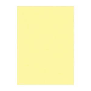 (まとめ) 文運堂 ニューカラーR 四ツ切 横392×縦542mm 4NCR-134 ライトイエロー...
