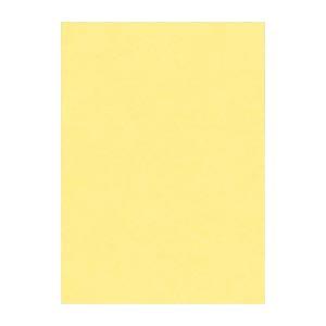 (まとめ) 文運堂 ニューカラーR 四ツ切 横392×縦542mm 4NCR-101 クリーム 10...