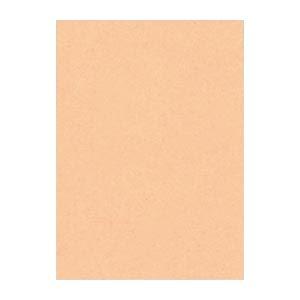 (まとめ) 文運堂 ニューカラーR 四ツ切 横392×縦542mm 4NCR-103 はだいろ 10...