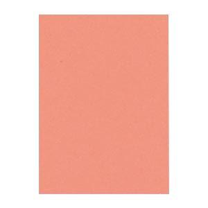 (まとめ) 文運堂 ニューカラーR 四ツ切 横392×縦542mm 4NCR-127 サーモン 10...
