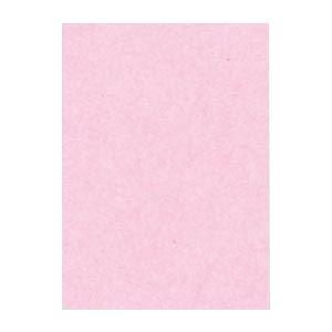(まとめ) 文運堂 ニューカラーR 四ツ切 横392×縦542mm 4NCR-218 さくら 100...