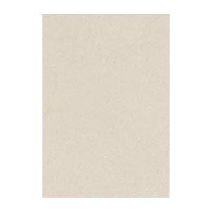 (まとめ) 文運堂 ニューカラーR 八ツ切 横271×縦392mm 8NCR-113 あかるいはいい...