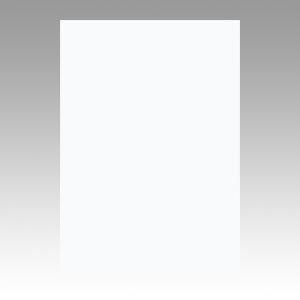 (まとめ) 文運堂 ニューカラーR 八ツ切 横271×縦392mm 8NCR-151 ゆき 100枚...