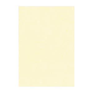 (まとめ) 文運堂 ニューカラーR 八ツ切 横271×縦392mm 8NCR-112 うすクリーム ...