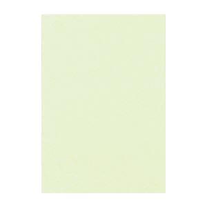 (まとめ) 文運堂 ニューカラーR 八ツ切 横271×縦392mm 8NCR-133 メロン 100...