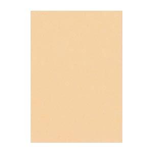 (まとめ) 文運堂 ニューカラーR 八ツ切 横271×縦392mm 8NCR-111 しらちゃ 10...