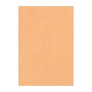 (まとめ) 文運堂 ニューカラーR 八ツ切 横271×縦392mm 8NCR-109 うすちゃ 10...