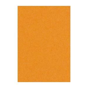 (まとめ) 文運堂 ニューカラーR 八ツ切 横271×縦392mm 8NCR-210 おうどいろ 1...