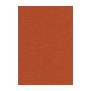 (まとめ) 文運堂 ニューカラーR 八ツ切 横271×縦392mm 8NCR-236 ちゃいろ 10...