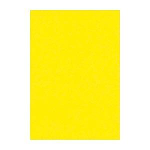 (まとめ) 文運堂 ニューカラーR 八ツ切 横271×縦392mm 8NCR-319 レモン 100...