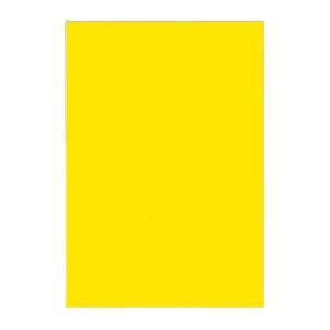 (まとめ) 文運堂 ニューカラーR 八ツ切 横271×縦392mm 8NCR-318 ひまわり 10...