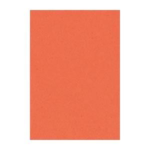 (まとめ) 文運堂 ニューカラーR 八ツ切 横271×縦392mm 8NCR-213 だいだい 10...