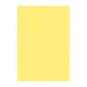 (まとめ) 文運堂 ニューカラーR 八ツ切 横271×縦392mm 8NCR-108 きいろ 100...