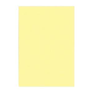 (まとめ) 文運堂 ニューカラーR 八ツ切 横271×縦392mm 8NCR-134 ライトイエロー...