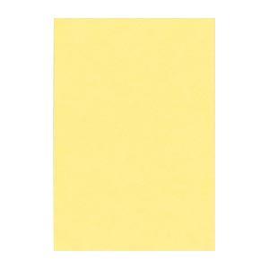 (まとめ) 文運堂 ニューカラーR 八ツ切 横271×縦392mm 8NCR-101 クリーム 10...