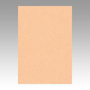 (まとめ) 文運堂 ニューカラーR 八ツ切 横271×縦392mm 8NCR-103 はだいろ 10...