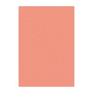 (まとめ) 文運堂 ニューカラーR 八ツ切 横271×縦392mm 8NCR-127 サーモン 10...