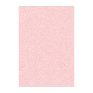 (まとめ) 文運堂 ニューカラーR 八ツ切 横271×縦392mm 8NCR-102 うすもも 10...