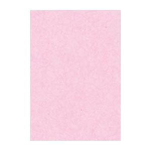 (まとめ) 文運堂 ニューカラーR 八ツ切 横271×縦392mm 8NCR-218 さくら 100...