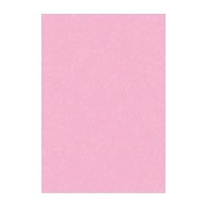 (まとめ) 文運堂 ニューカラーR 八ツ切 横271×縦392mm 8NCR-234 ときいろ 10...