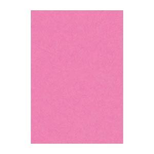 (まとめ) 文運堂 ニューカラーR 八ツ切 横271×縦392mm 8NCR-242 ももいろ 10...