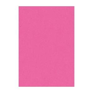 (まとめ) 文運堂 ニューカラーR 八ツ切 横271×縦392mm 8NCR-232 こいもも 10...