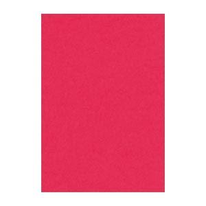 (まとめ) 文運堂 ニューカラーR 八ツ切 横271×縦392mm 8NCR-325 ぼたんいろ 1...