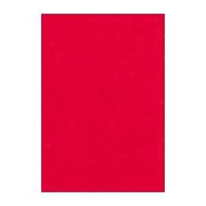 (まとめ) 文運堂 ニューカラーR 八ツ切 横271×縦392mm 8NCR-317 あか 100枚...