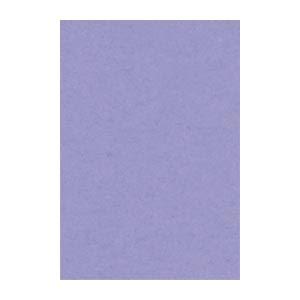 (まとめ) 文運堂 ニューカラーR 八ツ切 横271×縦392mm 8NCR-217 ふじむらさき ...