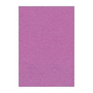 (まとめ) 文運堂 ニューカラーR 八ツ切 横271×縦392mm 8NCR-231 あかむらさき ...