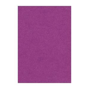 (まとめ) 文運堂 ニューカラーR 八ツ切 横271×縦392mm 8NCR-241 むらさき 10...