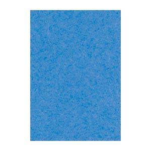 (まとめ) 文運堂 ニューカラーR 八ツ切 横271×縦392mm 8NCR-250 そらいろ 10...