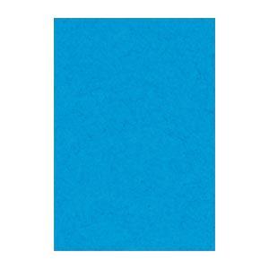 (まとめ) 文運堂 ニューカラーR 八ツ切 横271×縦392mm 8NCR-216 うすあお 10...