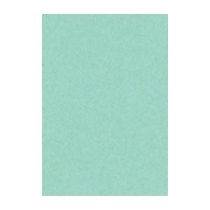 (まとめ) 文運堂 ニューカラーR 八ツ切 横271×縦392mm 8NCR-114 あかるいあさぎ...