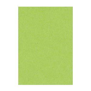 (まとめ) 文運堂 ニューカラーR 八ツ切 横271×縦392mm 8NCR-212 きみどり 10...