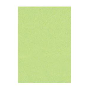 (まとめ) 文運堂 ニューカラーR 八ツ切 横271×縦392mm 8NCR-243 わかくさ 10...