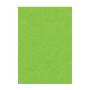 (まとめ) 文運堂 ニューカラーR 八ツ切 横271×縦392mm 8NCR-238 こいきみどり ...