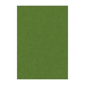 (まとめ) 文運堂 ニューカラーR 八ツ切 横271×縦392mm 8NCR-316 オリーブ 10...
