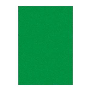 (まとめ) 文運堂 ニューカラーR 八ツ切 横271×縦392mm 8NCR-321 みどり 100...