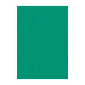 (まとめ) 文運堂 ニューカラーR 八ツ切 横271×縦392mm 8NCR-322 エメラルド 1...