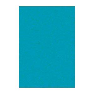 (まとめ) 文運堂 ニューカラーR 八ツ切 横271×縦392mm 8NCR-326 あさぎいろ 1...