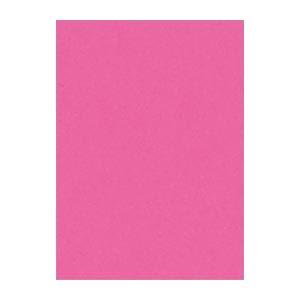 (まとめ) 文運堂 ニューカラーR 四ツ切 横392×縦542mm 4NCR-232 こいもも 10...