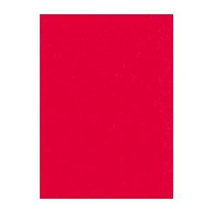 (まとめ) 文運堂 ニューカラーR 四ツ切 横392×縦542mm 4NCR-317 あか 100枚...
