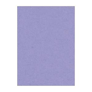(まとめ) 文運堂 ニューカラーR 四ツ切 横392×縦542mm 4NCR-217 ふじむらさき ...